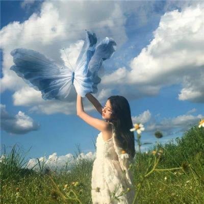 格桑花开的时候